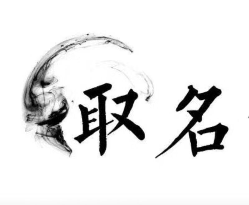  龙泉驿宝宝取名 大师一对一人工起名